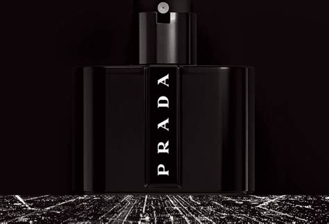 prada black cologne scent|Prada black cologne smells like.